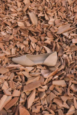 Circe, beige suede ballerina